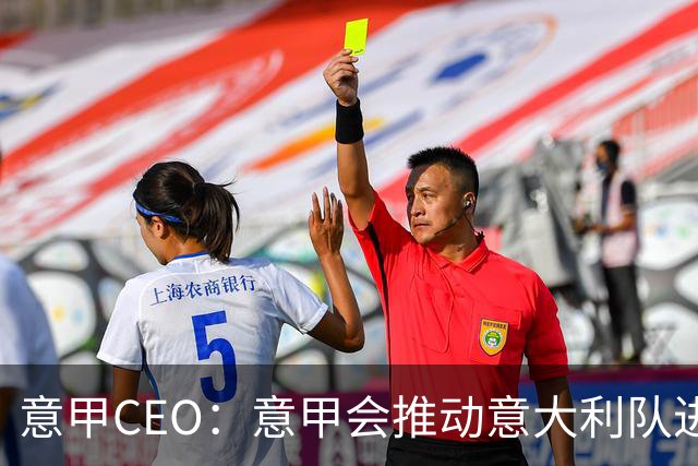 意甲CEO：意甲会推动意大利队进步 国家队低迷原因得追溯到20年前