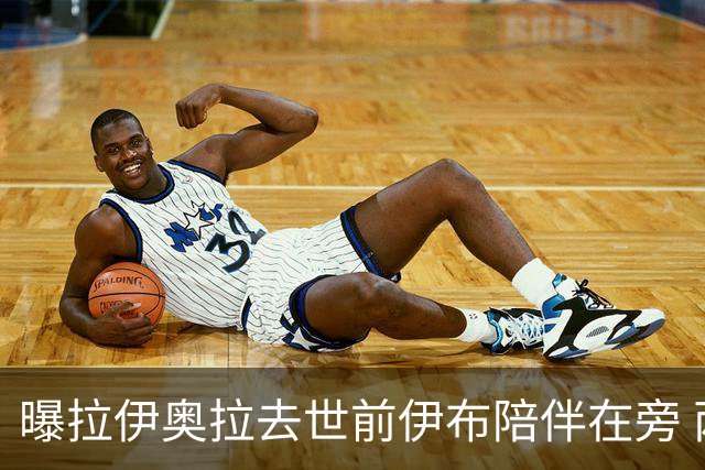 曝拉伊奥拉去世前伊布陪伴在旁 两人合作多年