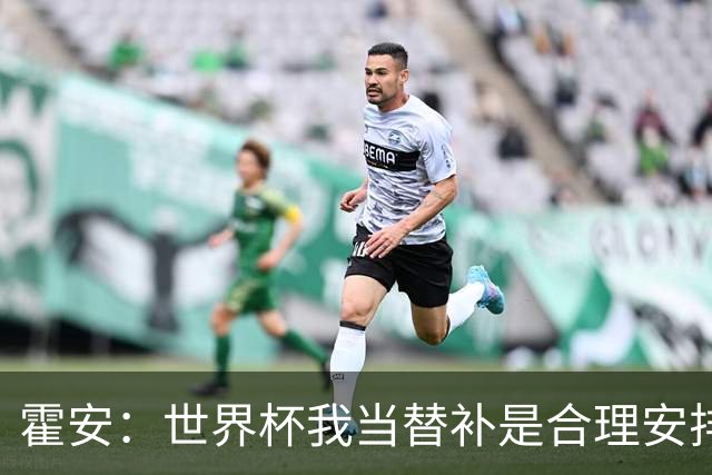 霍安：世界杯我当替补是合理安排；不应由我评估是否签小蜘蛛
