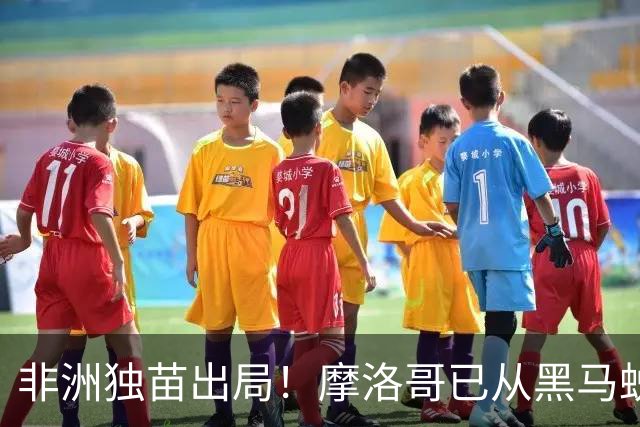 非洲独苗出局！摩洛哥已从黑马蜕变为劲旅 四年后主场见