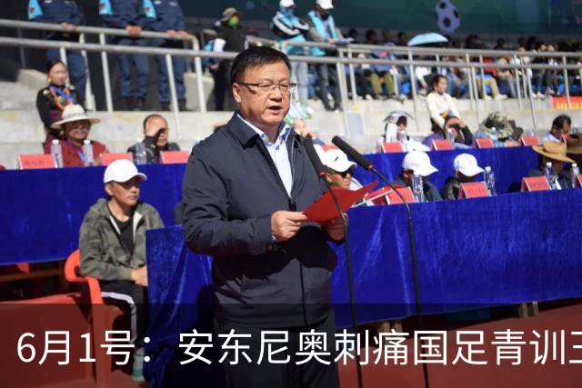 6月1号：安东尼奥刺痛国足青训王钰栋徐彬留洋困局全摊开